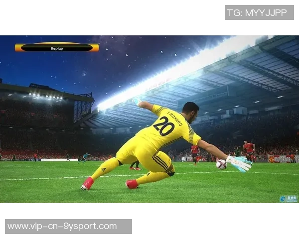 足球袜资源的全面解析与市场趋势探讨